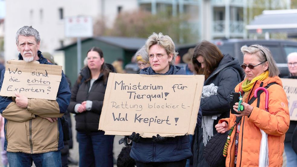 Auch am Sonntag demonstrieren wieder zahlreiche Menschen für die Rettung des Wals. Foto: Marcus Golejewski