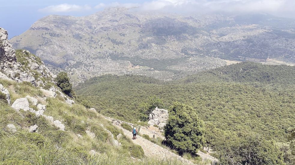 Ein deutscher Wanderer ist auf Mallorca in den Tod gestürzt. Foto: Manuel Meyer