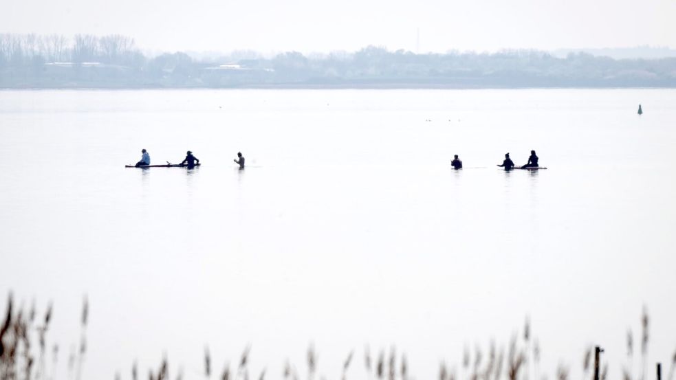 Am Freitag wird die Rettungsaktion für den gestrandeten Buckelwal fortgesetzt. Foto: Philip Dulian