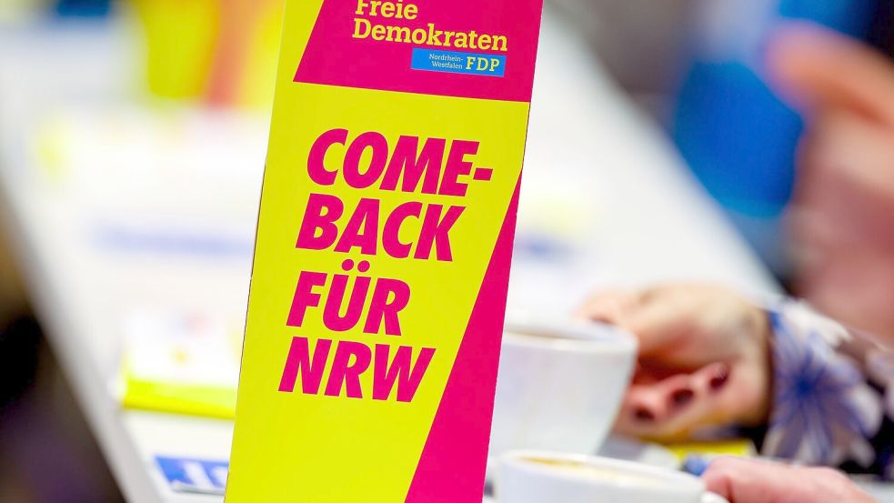 Die FDP kämpft um ihr politisches Überleben. Foto: Christoph Reichwein