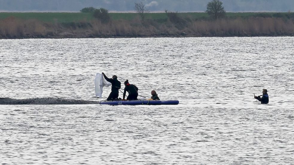 Die Bemühungen um den gestrandeten Wal gehen weiter. Foto: Bernd Wüstneck
