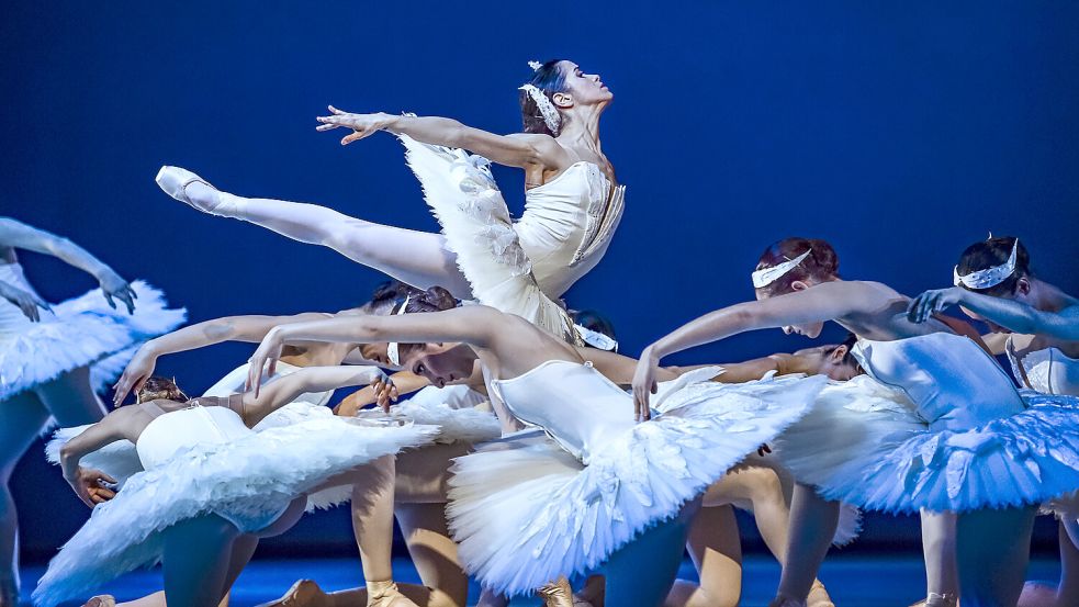 Inbegriff der Ästhetik und Schönheit: Szenenbild aus einer Aufführung des Balletts „Schwanensee“ am Theater Chemnitz. Foto: Nasser Hashemi