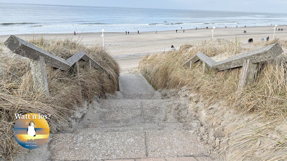 Im Gespräch mit Mihailo wird schnell klar: Norderney ist für ihn mehr als Meer. Foto: Deike Terhorst