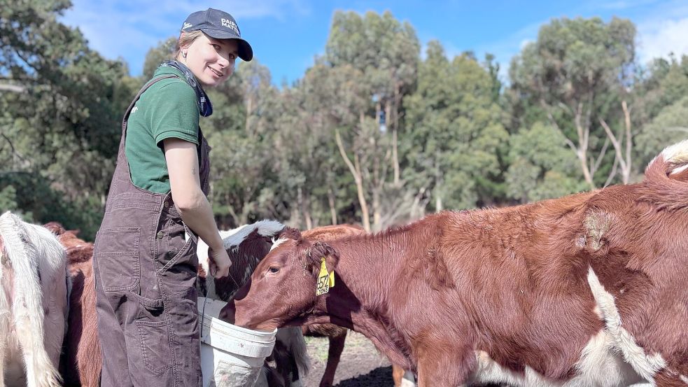 Seit Anfang März arbeitet Johanna Schwarte auf einem Hof in Australien. Foto: Johanna Schwarte