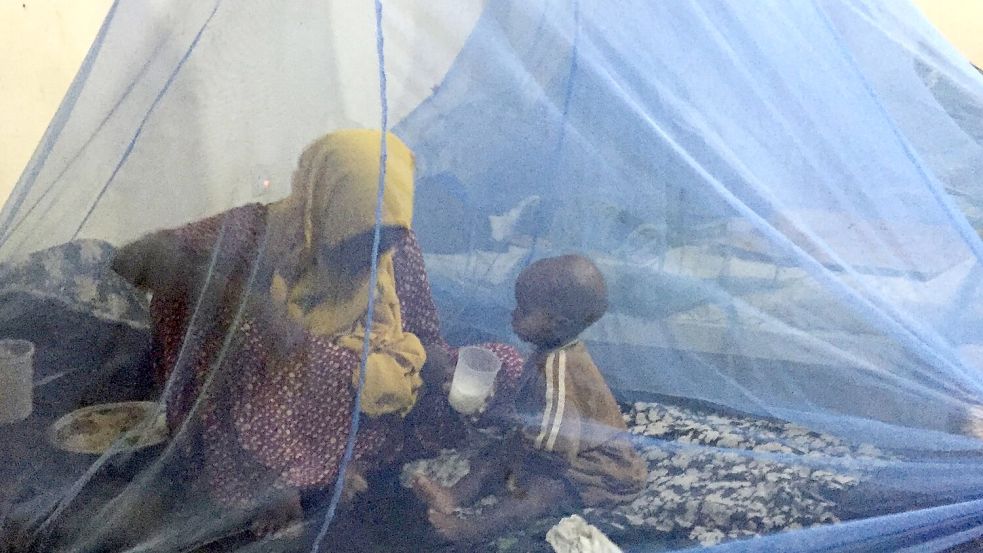 Wirksamer Schutz vor Malaria: Moskitonetze. (Archivbild) Foto: Eva-Maria Krafczyk/dpa
