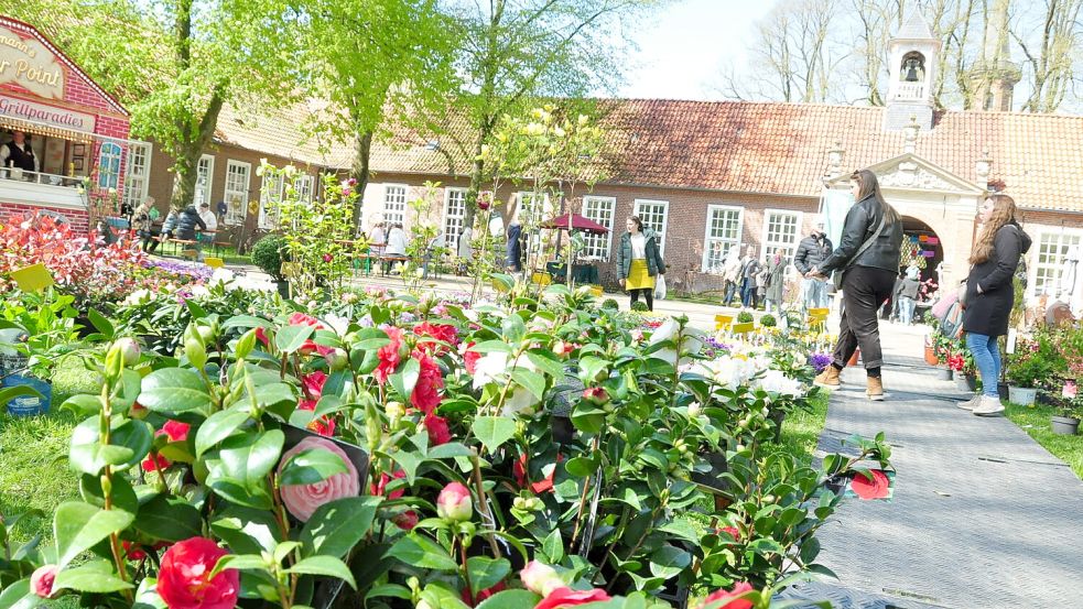 Blumen und mehr gibt es auch an diesem Sonntag noch beim Frühlingsmarkt an der Evenburg zu sehen. Foto: Bodo Wolters