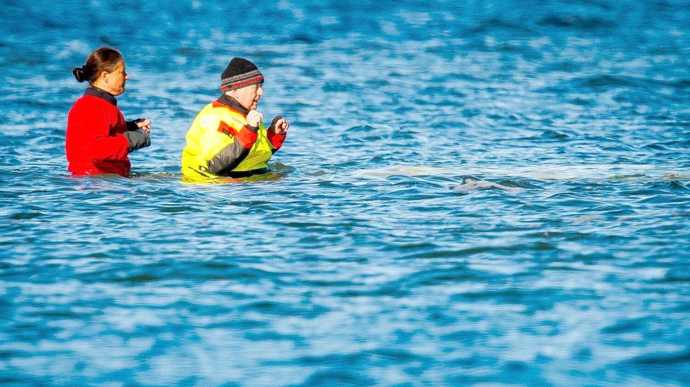 Umweltminister Till Backhaus war auch am Sonntag wieder direkt am Wal. Foto: Jens Büttner