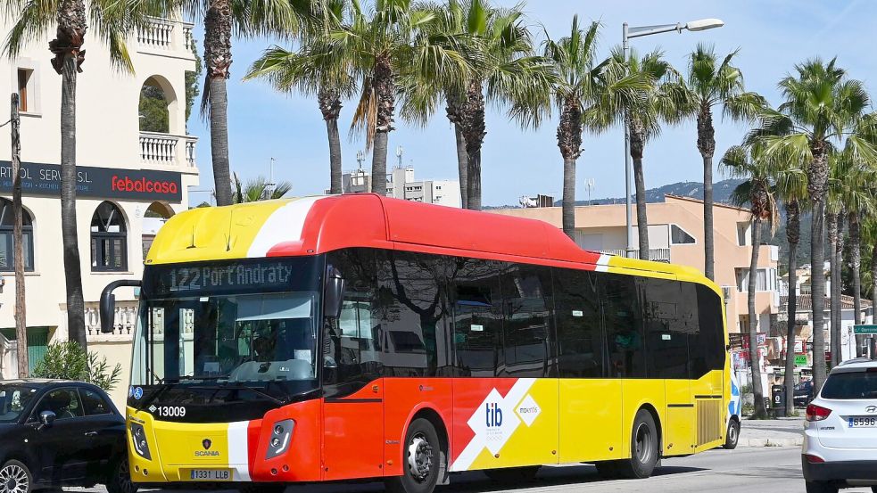 Auch Fahrten mit den charakteristischen rot-gelben Überlandbussen sind auf Mallorca gratis – allerdings nicht für alle. Foto: IMAGO/Manfred Segerer