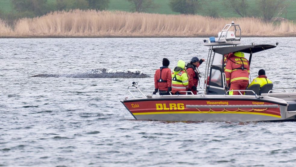 Die DLRG will am Mittwoch aus Kirchdorf auf Poel abziehen. Foto: Marcus Golejewski