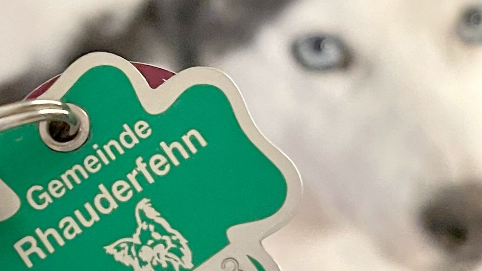 Hund mit Marke: Die Gemeinde Rhauderfehn kontrolliert ab sofort, ob Hunde beim Steueramt gemeldet sind. Foto: Marion Janßen