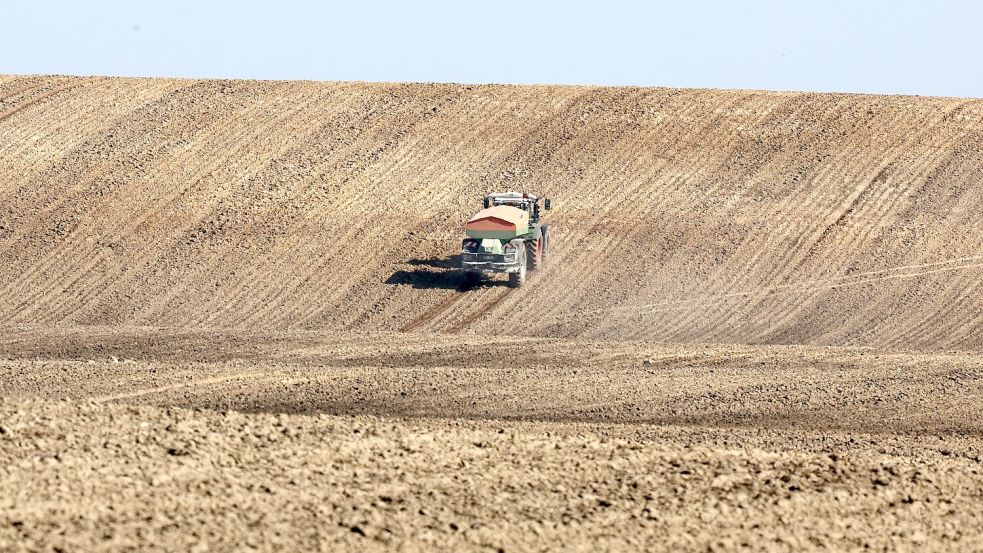 Steigende Düngermittelpreise bedrohen laut Weltbank die sichere Lebensmittelversorgung von Millionen von Menschen. (Archivbild) Foto: Bernd Wüstneck
