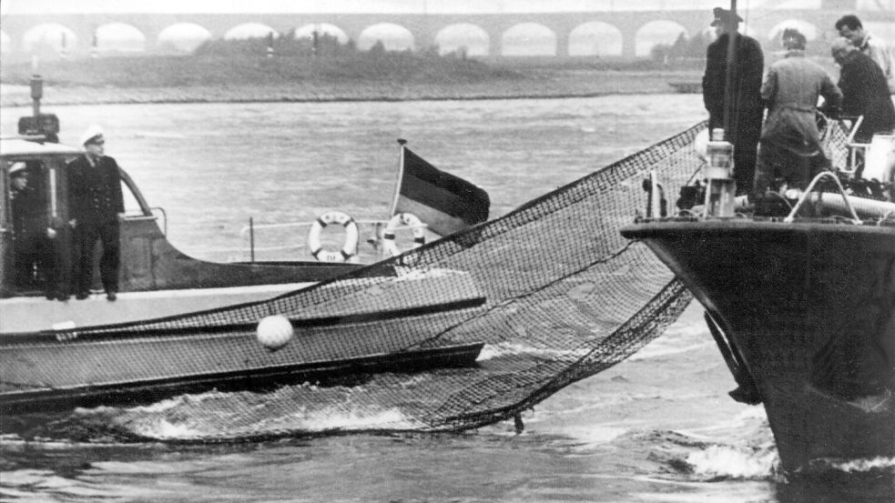 Mit Netzen und Stangen versuchten Helfer, den Wal in die richtige Richtung zu lenken - vergebens. (Archivbild) Foto: picture alliance / dpa