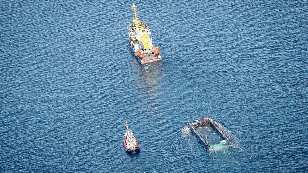 Experten kritisieren die Aktion. Foto: Philip Dulian