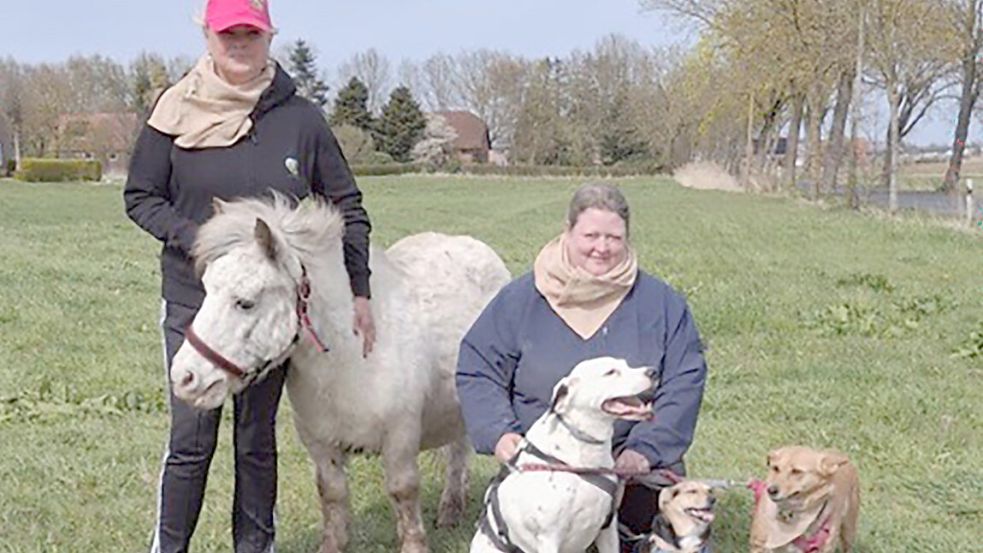 Gemeinsam mit Tamara Stamen, Pony Justus sowie den Hunden Toni, Simon und Lenja will sich Nadja Frey auf den Weg machen. Foto: Privat