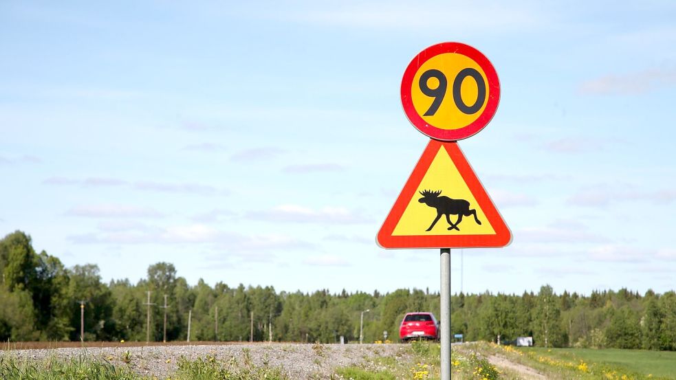 Ein Straßenschild warnt im Norden von Schweden vor Elchen. (Illustration) Foto: Steffen Trumpf/dpa