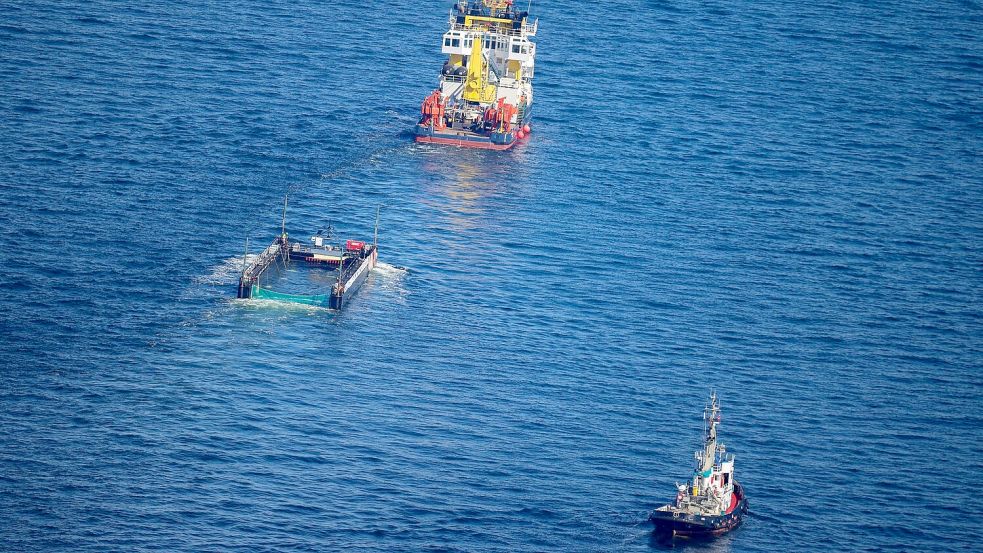 Das Transportschiff mit dem Wal ist seit mehreren Tagen unterwegs. Foto: Christoph Reichwein