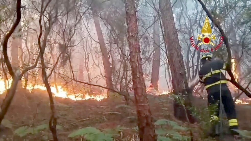 Wegen des Waldbrands haben mehr als 3.500 Menschen ihre Häuser verlassen müssen. Foto: -/Vigili del Fuoco/dpa