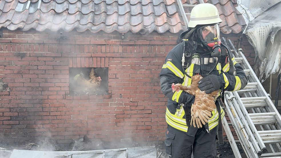 Durch ein Fenster konnten die Hühner gerettet werden. Foto: Feuerwehr
