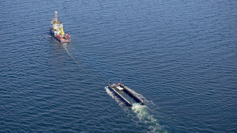 Das Transportschiff mit dem Wal ist seit mehreren Tagen unterwegs. Foto: Christoph Reichwein