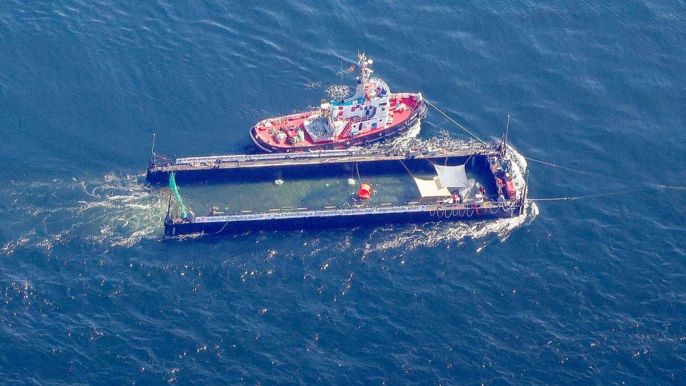 Das Transportschiff mit dem Wal ist seit mehreren Tagen unterwegs. Foto: Christoph Reichwein