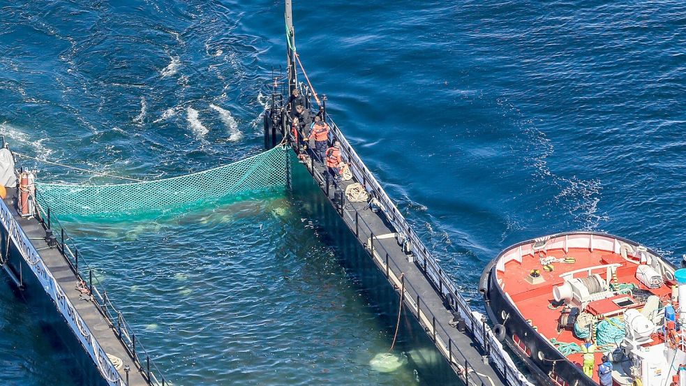 Bei der Barge handelt es sich um einen Lastkahn. Foto: Christoph Reichwein