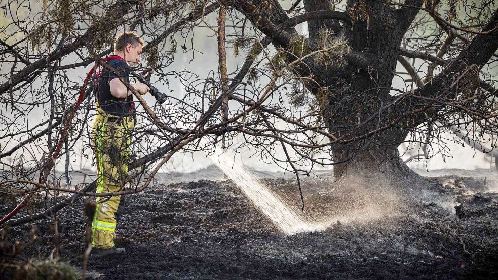 Bei der Brandbekämpfung in den Niederlanden kamen Feuerwehrleute aus mehreren Ländern zum Einsatz. Foto: Rob Engelaar