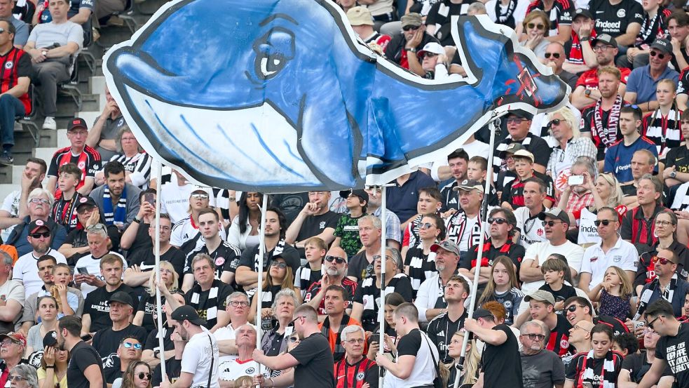 Die Geschichte des Wals wurde von vielen Menschen verfolgt. Foto: Florian Wiegand