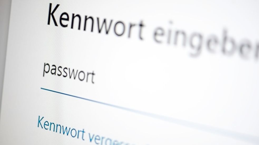 Die Menschen in Deutschland, die sich im Internet bewegen, haben großes Vertrauen in ihre Passwörter, verhalten sich im Alltag aber oft leichtsinnig. (Symbolbild) Foto: Fabian Sommer