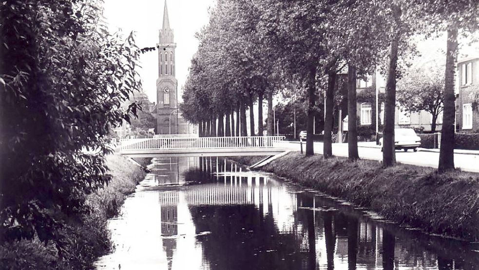 Das Foto zeigt den Rajen mit den Pappeln im Jahr 1977. Foto: Archiv
