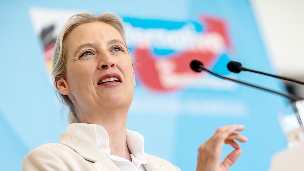 AfD-Chefin Weidel will mit einem Wahlsieg ihrer Partei bei den Landtagswahlen auch die Bundesregierung unter Druck setzen. (Archivbild) Foto: Michael Kappeler/dpa
