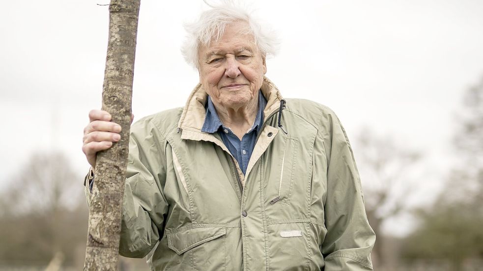 Der britische Naturforscher und Dokumentarfilmer David Attenborough feiert seinen 100. Geburtstag. (Archivbild) Foto: Aaron Chown