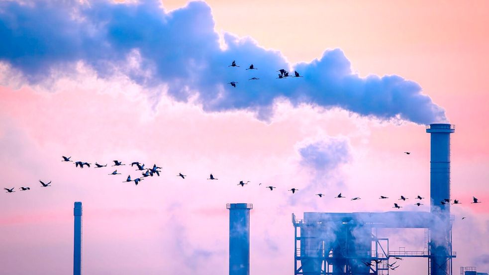 Die Industrieproduktion in Deutschland schrumpft Foto: Jens Büttner