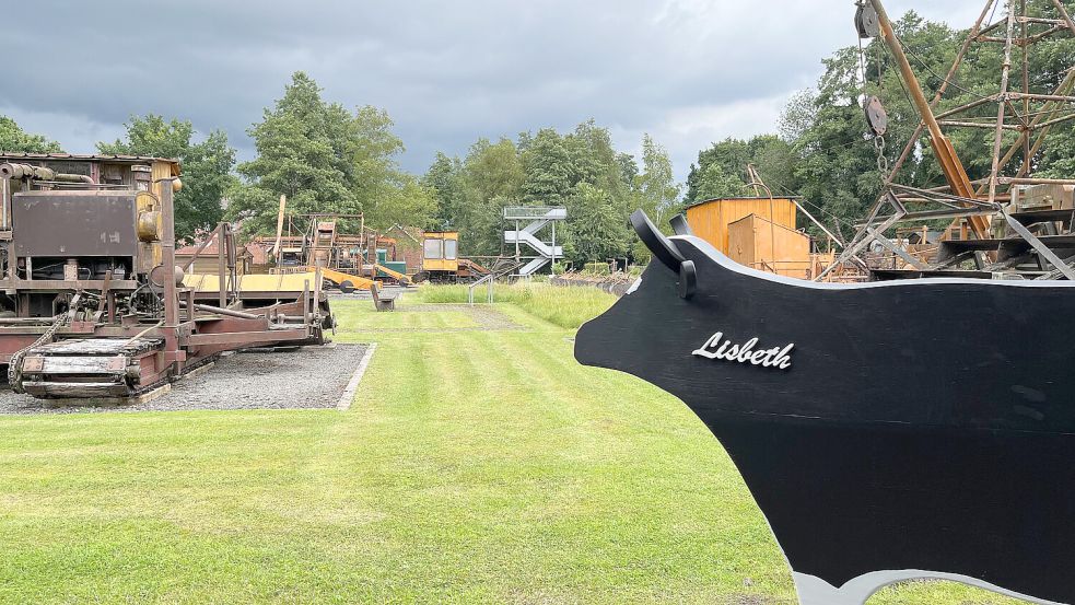 Die Museumskuh "Lisbeth" blickt auf das Ausstellungsgelände in Elisabethfehn. Foto: Moor- und Fehnmuseum