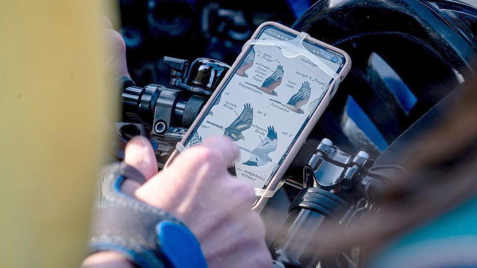 Vogel-Bestimmung via Smartphone. Foto: Fabian Sommer
