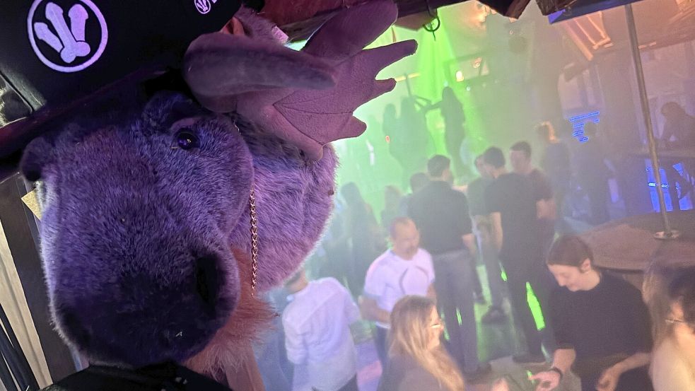 Der Elch ist das Maskottchen der Fetenscheune und überall in der Disco zu finden. Foto: Dirk Hellmers/Archiv