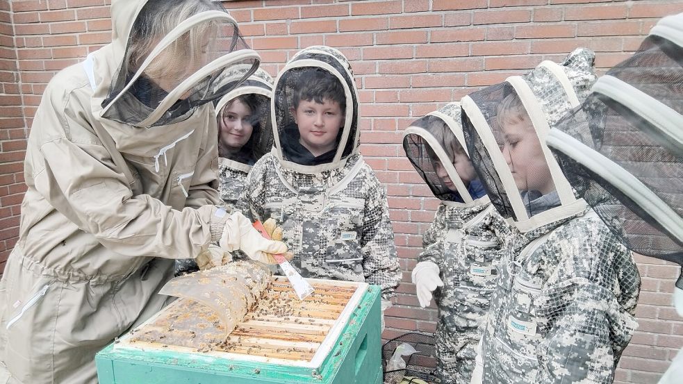 Ziel des Projektes an der Grundschule Holtermoor ist es, ein tiefes Verständnis für Umweltschutz in den Kindern zu verwurzeln. Fotos: Clarissa Scherzer