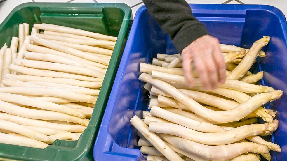 Derzeit bekommen Verbraucher Spargel so günstig wie sonst nicht in der Saison. (Archivbild) Foto: Jens Kalaene