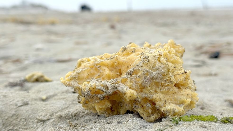 Wachsartige Klumpen wurden unter anderem auf Norderney angespült. Das Bild zeigt die Situation im vergangenen Jahr, als es einen ähnlichen Vorfall gab. Foto: Volker Bartels/DPA