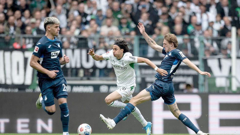 Hoffenheim unterlag Borussia Mönchengladbach. Foto: Fabian Strauch