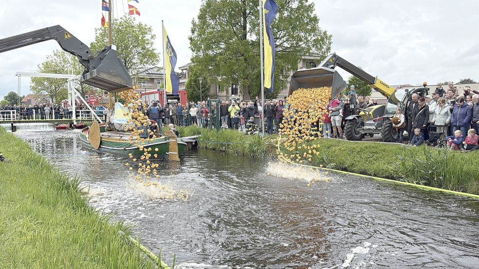 Startschuss am Rajenkanal: Hunderte Enten kämpfen um den Sieg. Foto: Dirk Hellmers