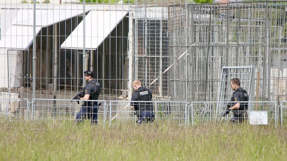 Der Tiger war aus einer privaten Haltung entkommen. Foto: Björn Stach/EHL Media/dpa