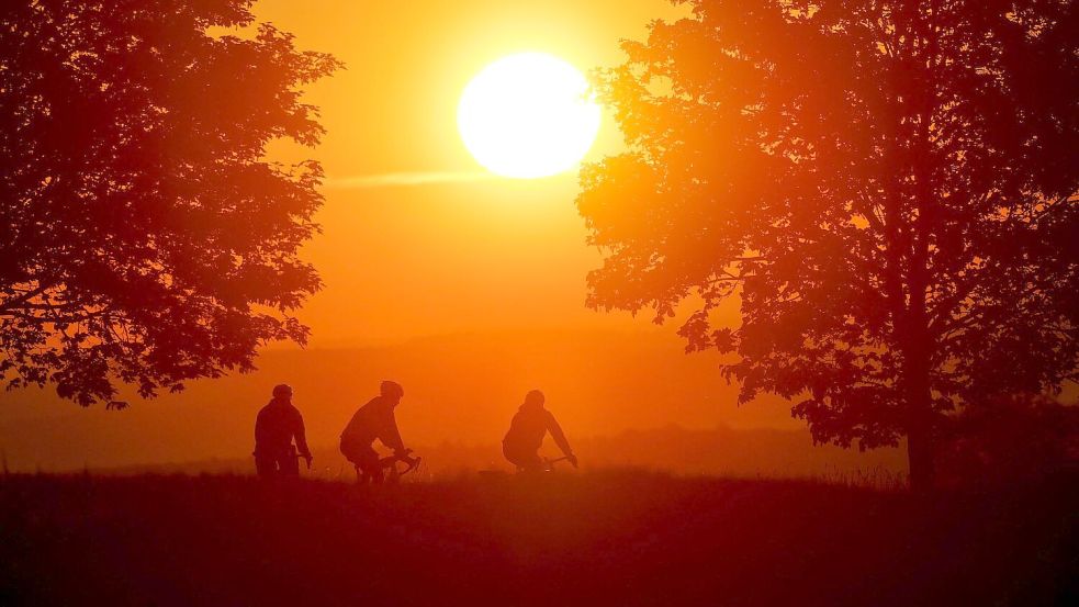 Bis zu 16 Sonnenstunden pro Tag sind am Wochenende möglich. (Archivbild) Foto: Thomas Warnack/dpa