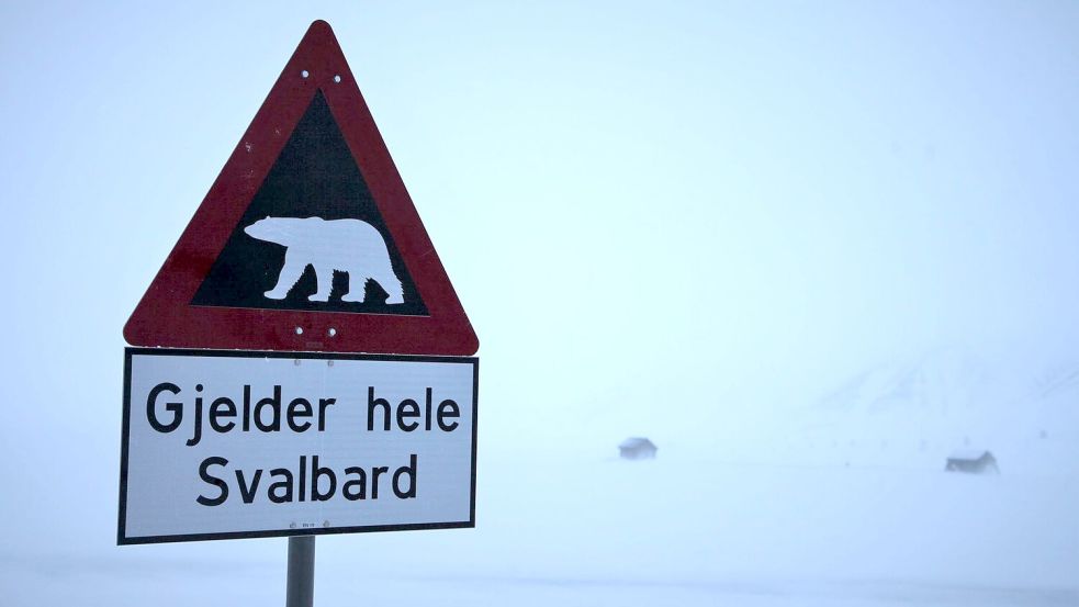 Zum ersten Mal ist in Europa bei einem Eisbären die Vogelgrippe entdeckt worden - und zwar auf der norwegischen Inselgruppe Spitzbergen. (Symbolbild) Foto: Steffen Trumpf/dpa