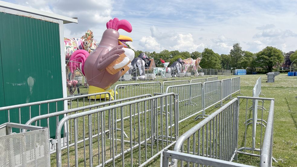 Das Frühtanz-Maskottchen, der Hahn, steht bereits bereit – Empfang für die Gäste. Foto: Dirk Hellmers