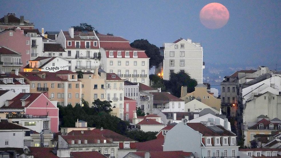 Nach der Mutter wurde nicht nur in Portugal fieberhaft gesucht. (Symbolbild) Foto: Armando Franca/AP/dpa