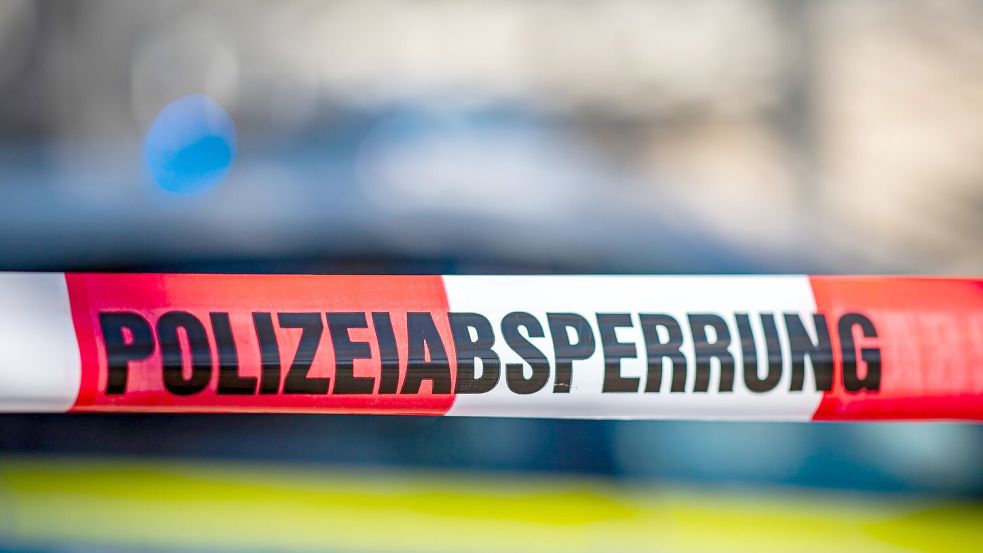 Ermittler haben in einem Waldstück bei Potsdam eine Leiche gefunden. (Symbolbild) Foto: David Inderlied