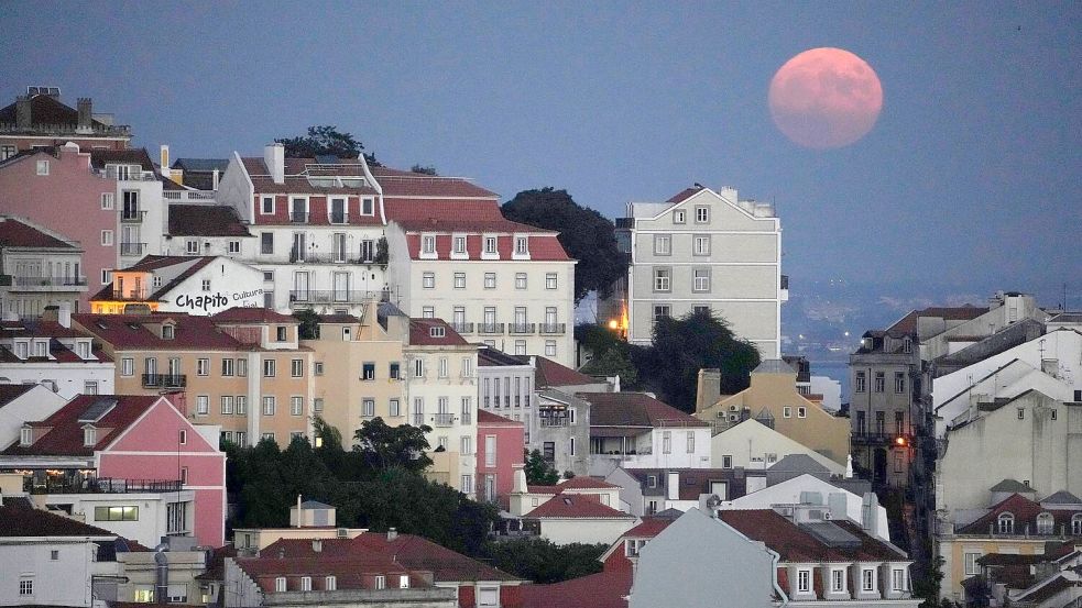 Die beiden in Portugal ausgesetzten französischen Kinder dürfen in ihre französische Heimat zurückkehren. (Symbolbild) Foto: Armando Franca/AP/dpa