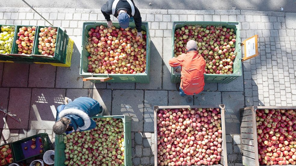 Die Inflationsrate dürfte laut Prognose der Wirtschaftsweisen in diesem Jahr durchschnittlich 3,0 Prozent betragen. Foto: Sebastian Kahnert