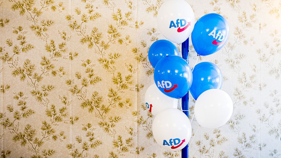 Ein Stadtrat aus Hannover verlässt die AfD. Foto: dpa/ Moritz Frankenberg