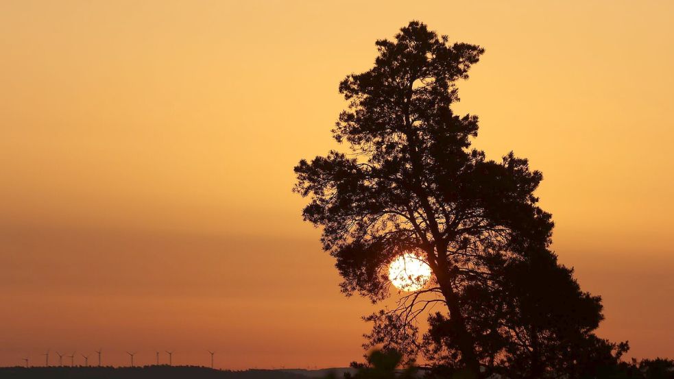 Sonne satt statt Regen: Das gab es vielerorts. Foto: Matthias Bein